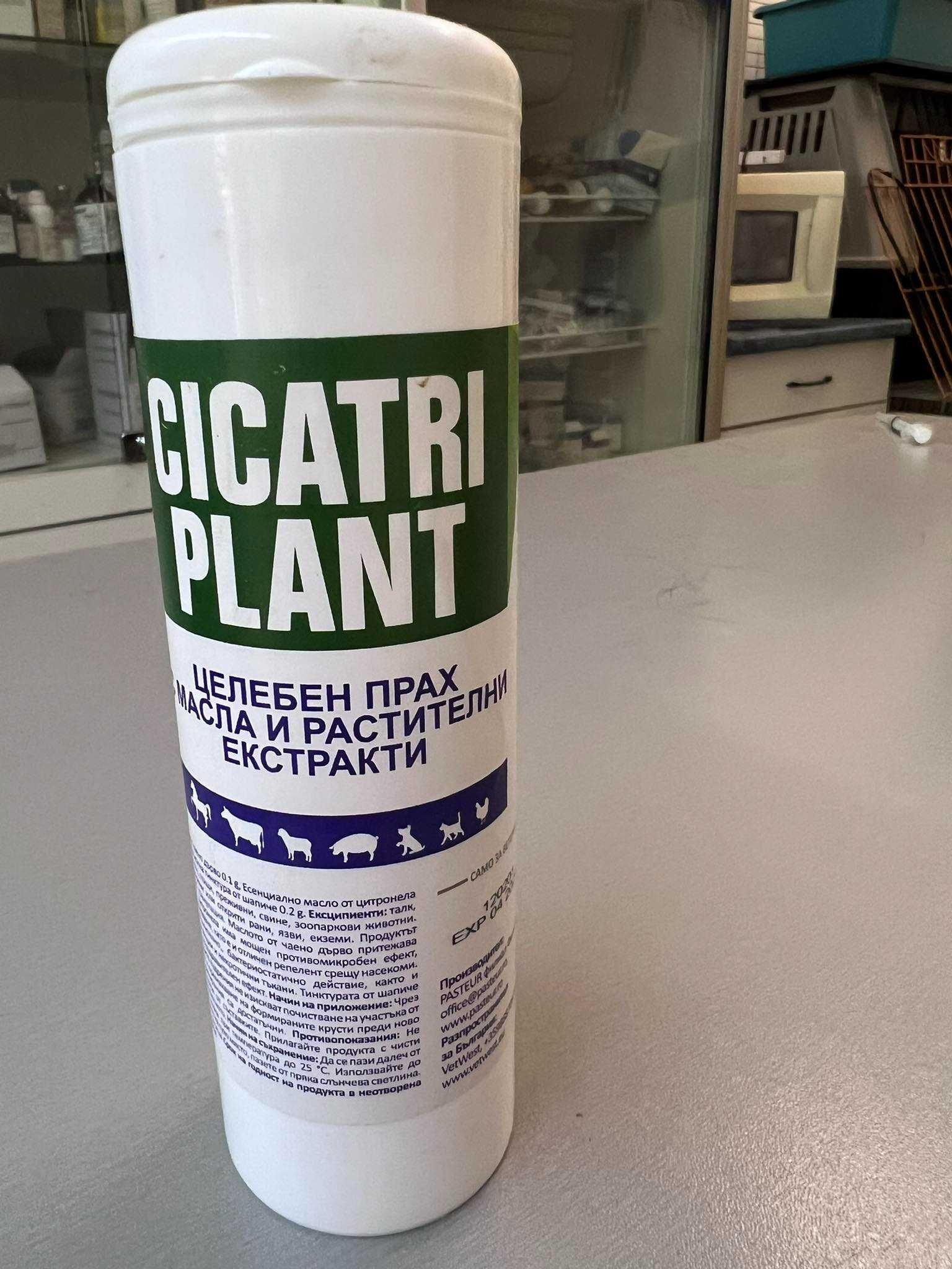 CICATRI PLANT - Целебен прах с растителни масла (срещу кожни проблеми)