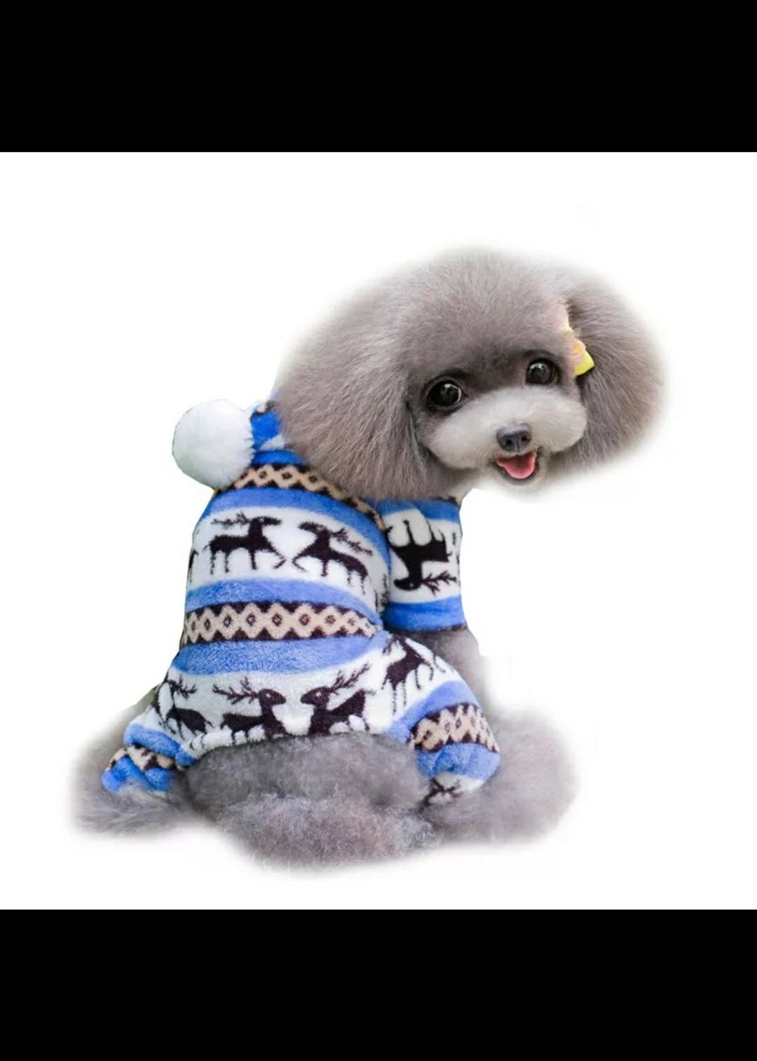 Одежда для кошек собак!