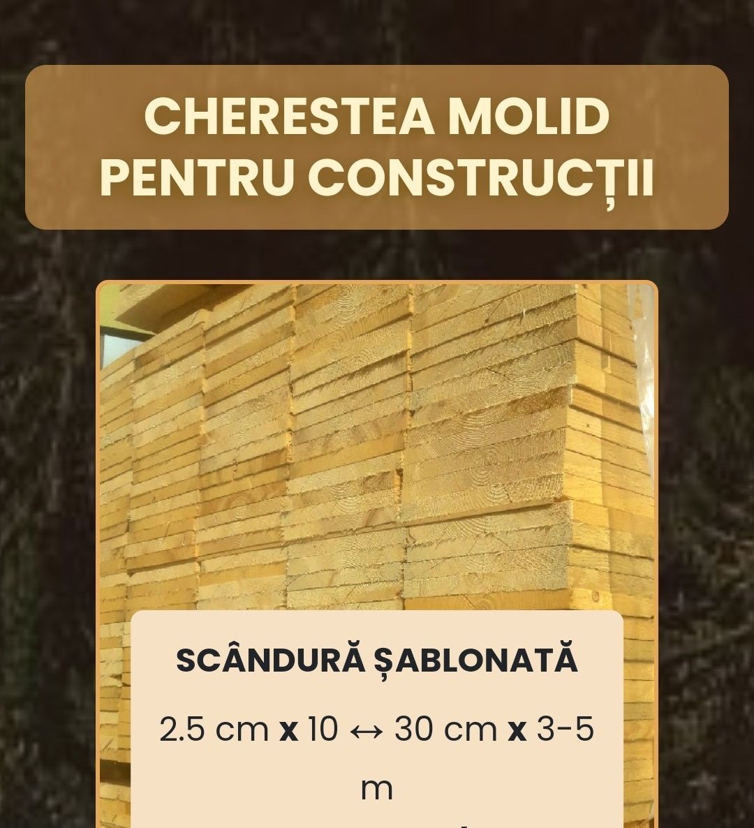 CHERESTEA PENTRU CONSTRUCȚII: Molid, Stejar, Frasin, Paltin, Tei