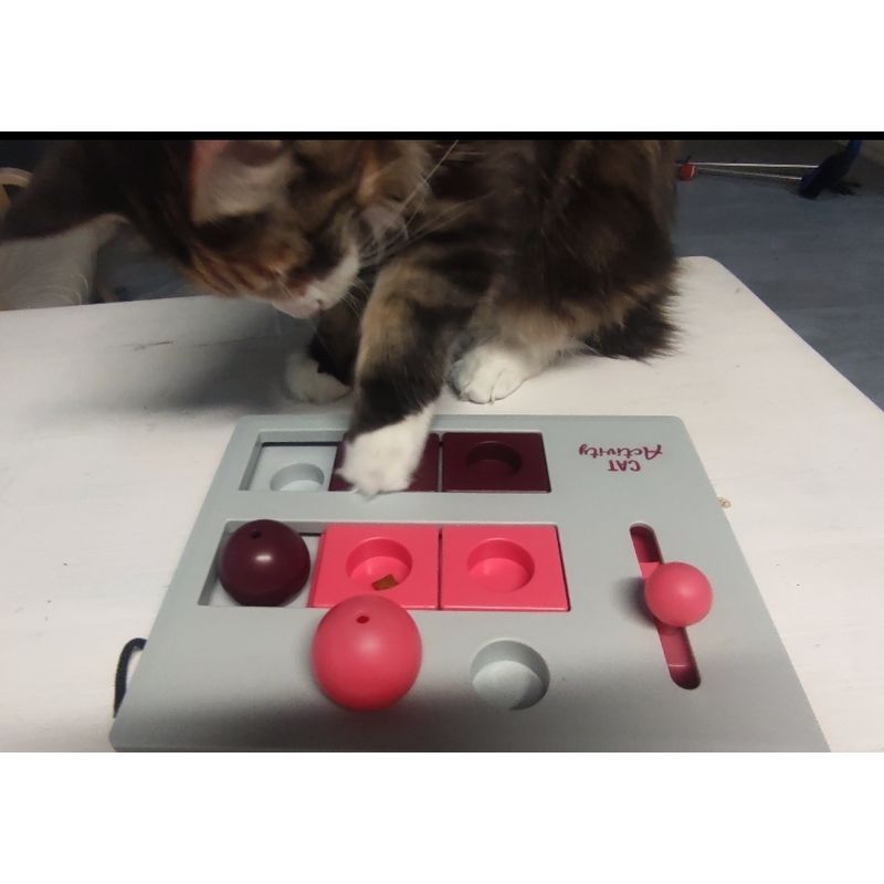 Trixie Cat Activity Brain Mover Jucărie pisici
