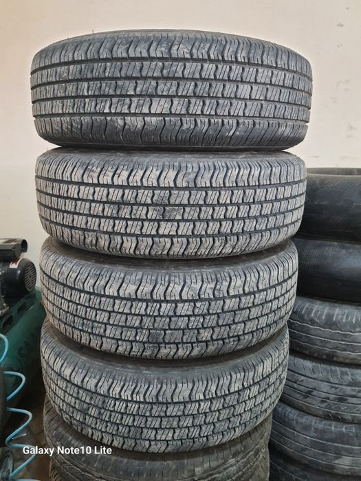 Шина Дамас учун 13 лик