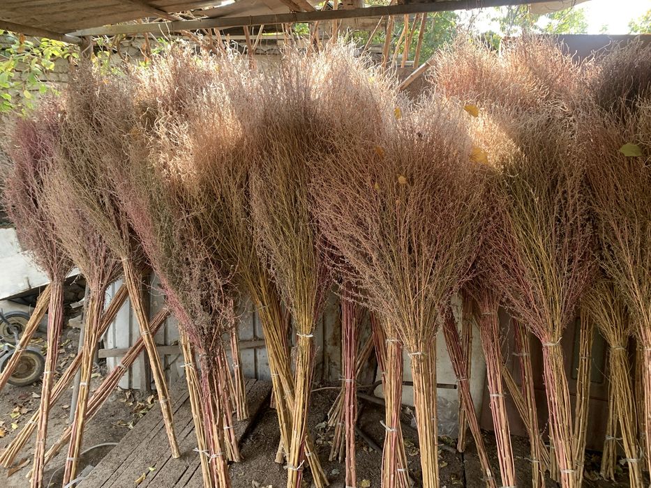 Сыпыртқы сатылады