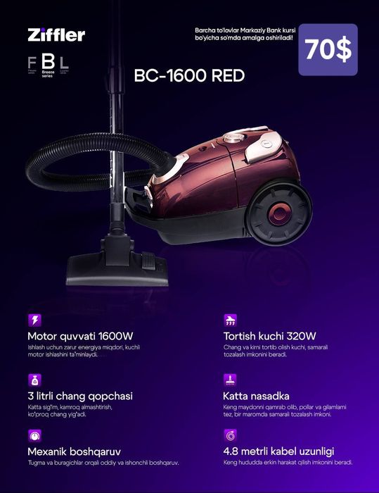 Пылесос  / Pilesos Ziffler Beston