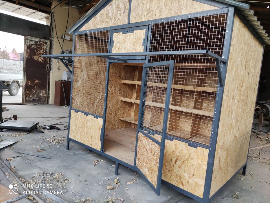 Chiroyli Kabutar kataklar