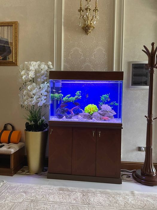 Akvarum va aksasuvarla kere bisa 24/7 murojat qivurila