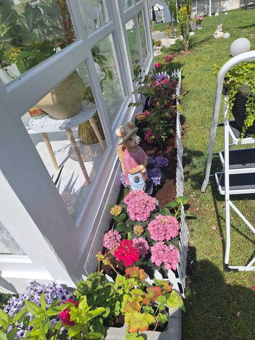 Grădina Ta de Vis | Plante, Decorațiuni & Proiectare 3D