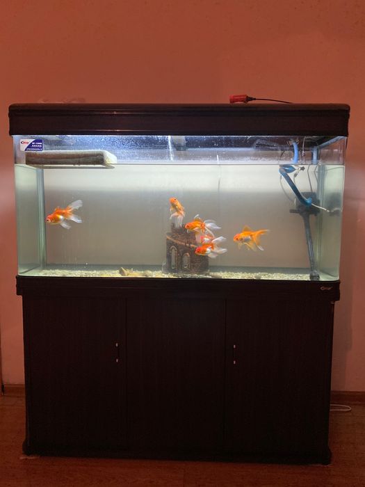 Аквариум большой