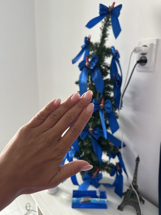 Коледна елха, 20 лв