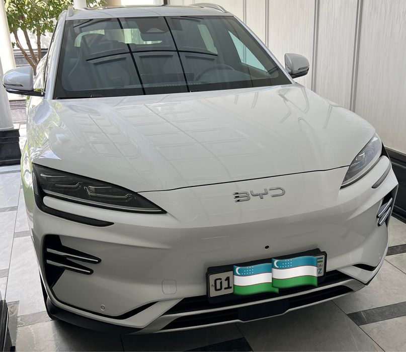Byd champion restyling