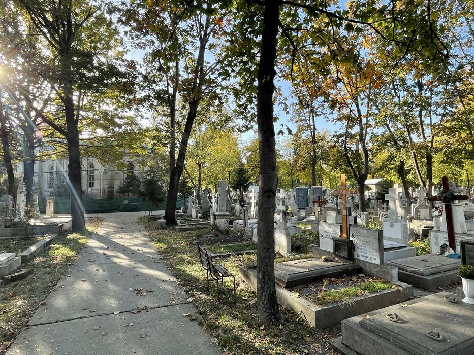 Vand Loc de Veci Mormant Cripta Cimitirul Bellu Catolic