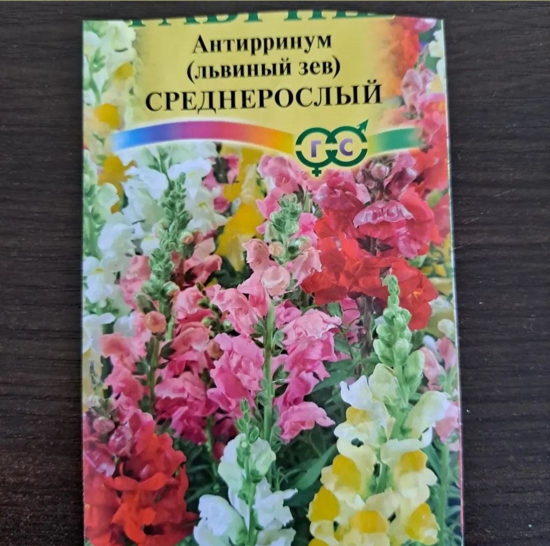 Продам рассаду цветов!