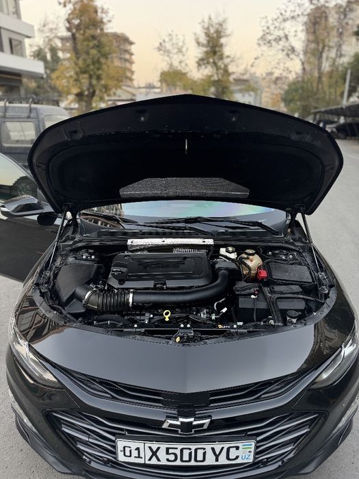 Malibu 2 Xl krasska tozza 2023