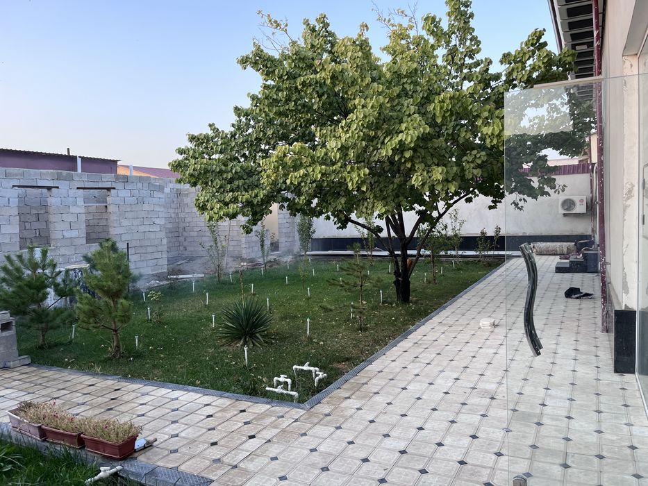 Uchastka katej zarafshon gorod zalatinka
