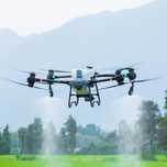 Drona Agricola Dji Agras T50