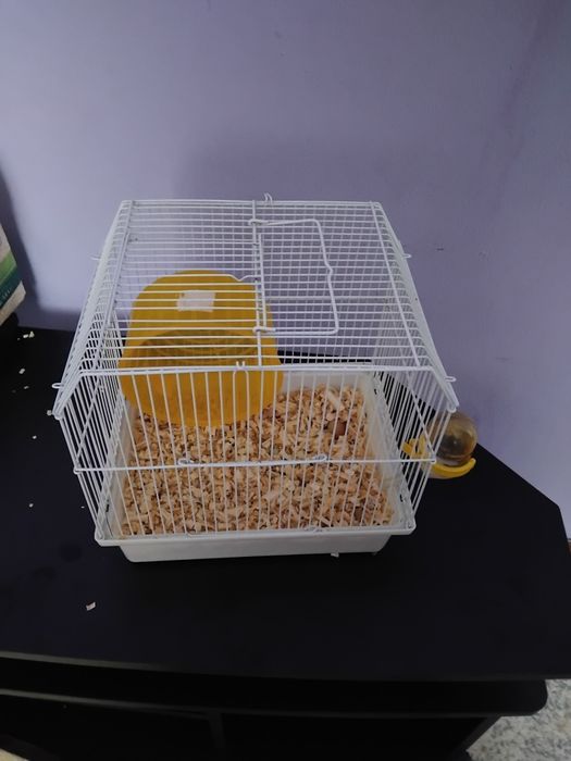 Cusca hamsteri aproape noua