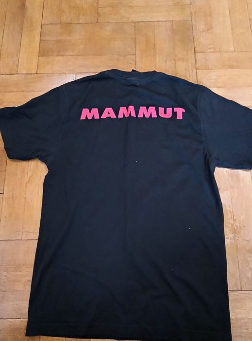 Мъжки тениски Mammut, Arcteryx