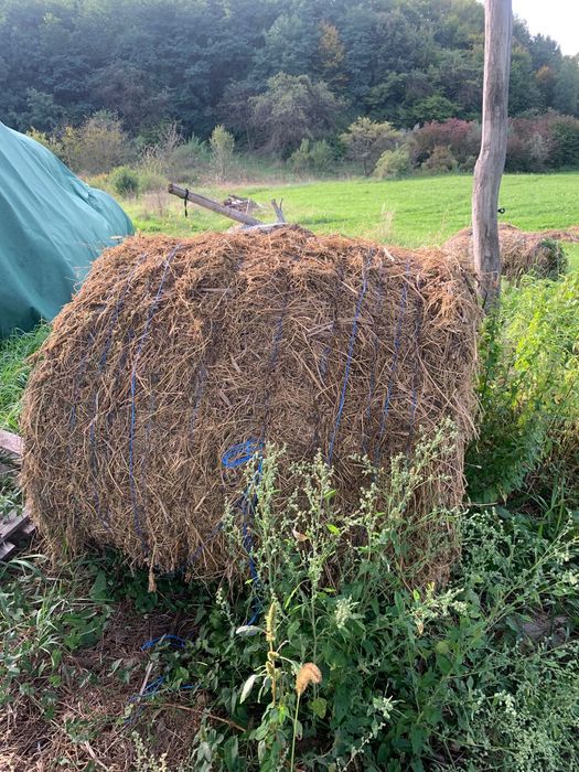 Vând baloți  120/120