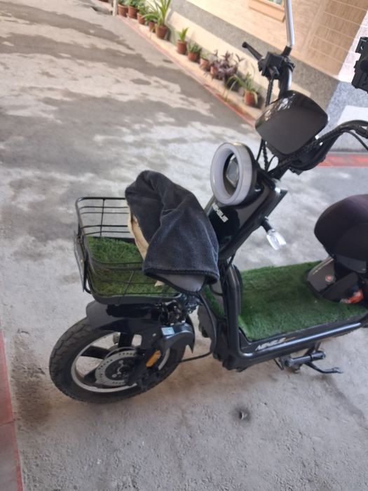 Skuter 2025yilli