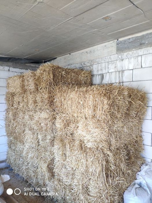 Baloți mici paie grau -orzoaica corbu constanta transport contra cost