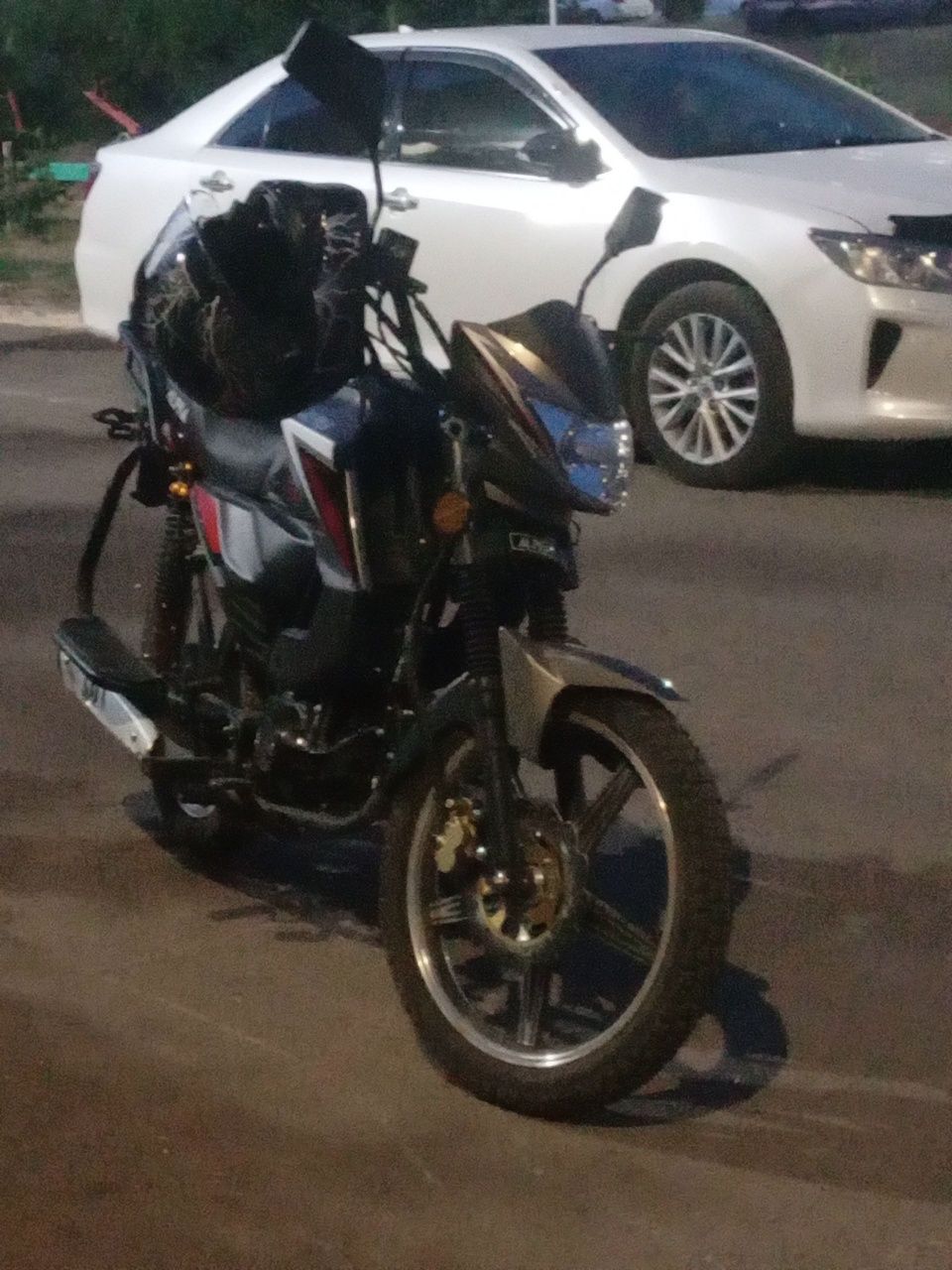 alpha rs12 champ