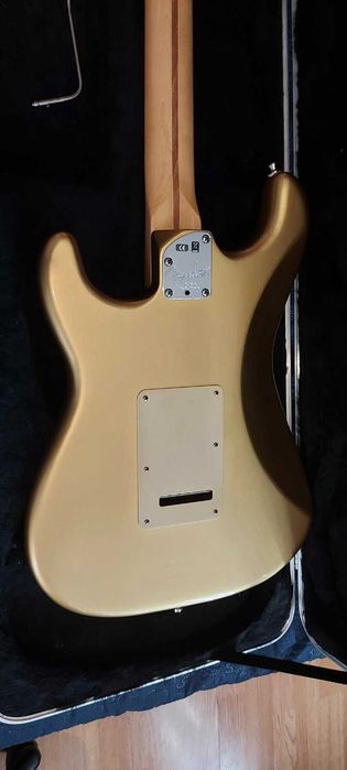 Fender/Charvel/Mad Professor/Boss
