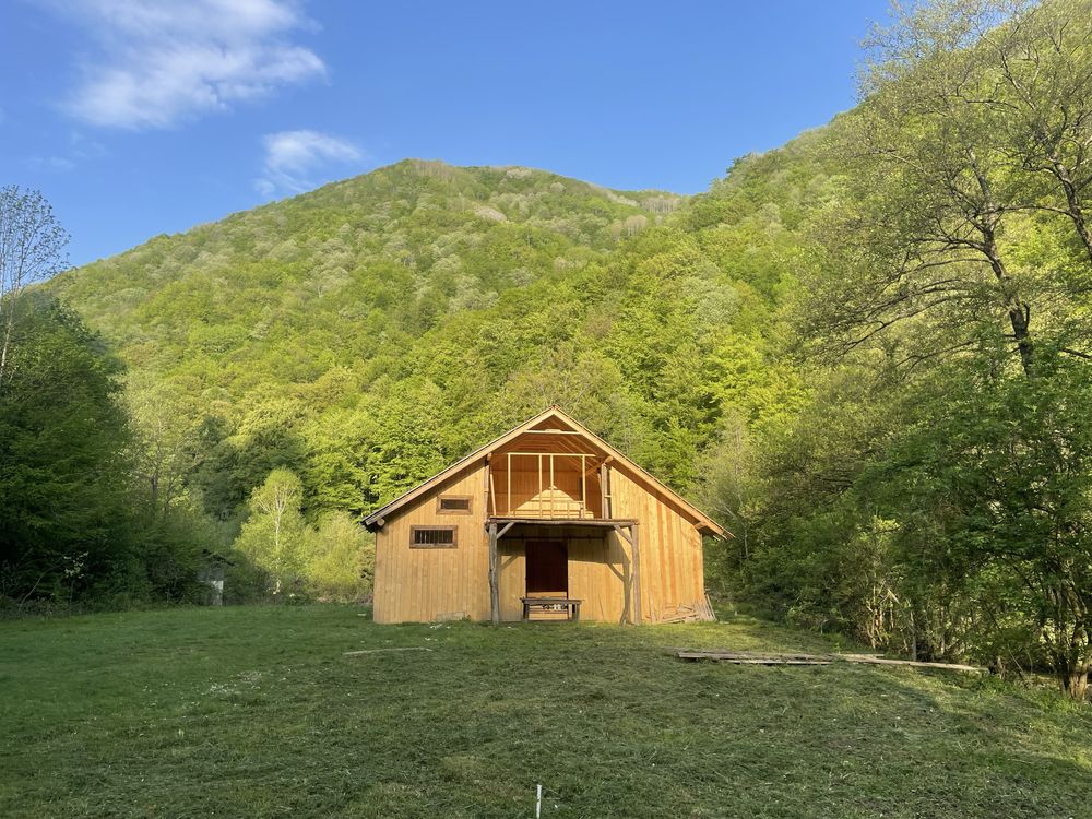 Oportunitate unică ! Proprietate in parc national pe malul Cernei !