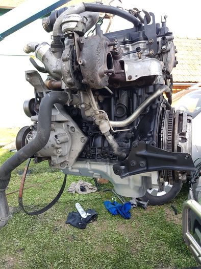 Dezmembrez.Piese+montaj+repar.Motor, chiuloasa,Nisan Nissan Navara