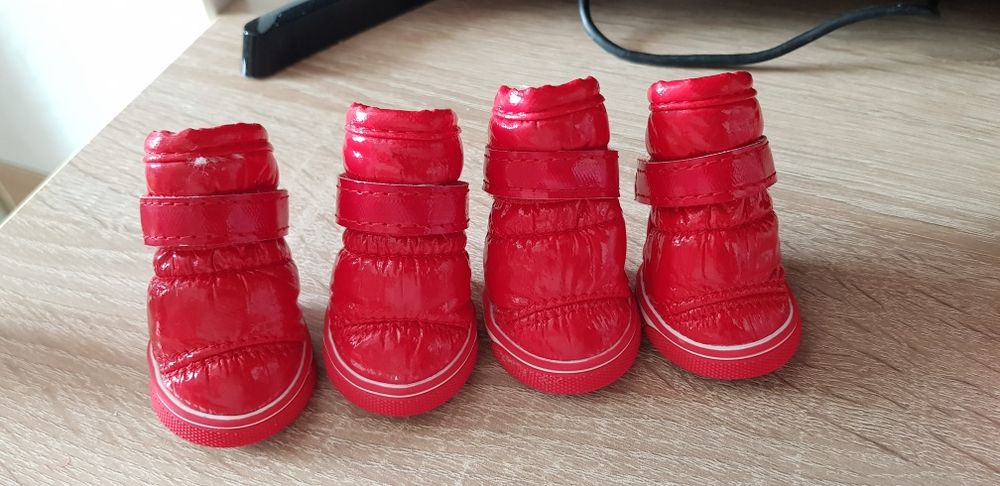 Продам сапожки для мелких собачек