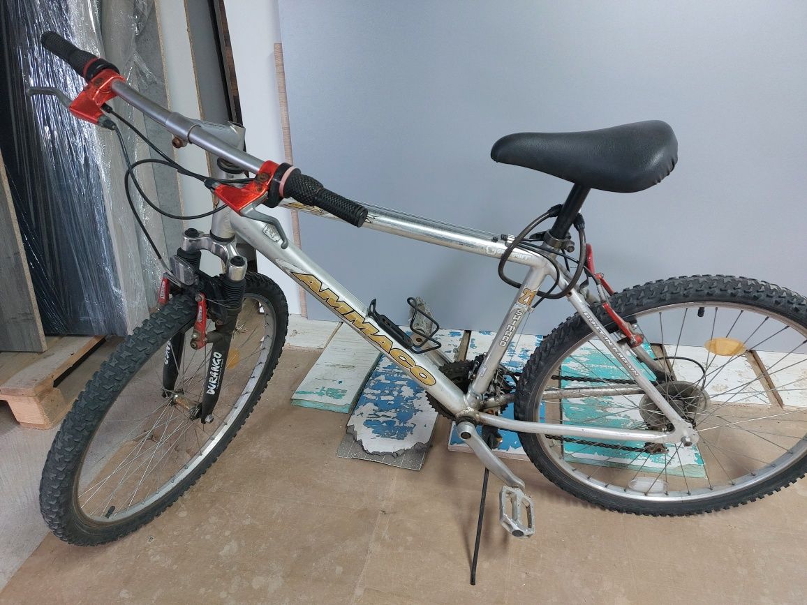 Bicicleta pentru adulți