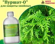 От Солнечных ожогов на хвойных туях можжевельниках Пуршат