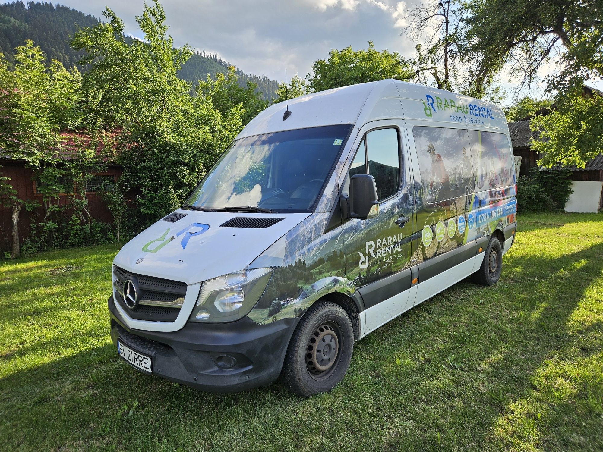 Mercedes Sprinter 313, 8+1