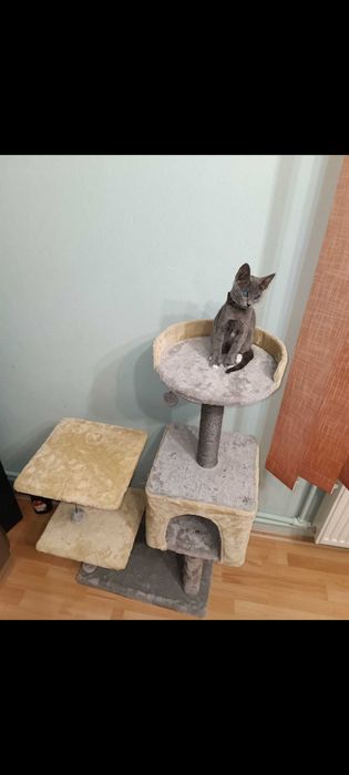 Căsuța de joaca pentru pisici