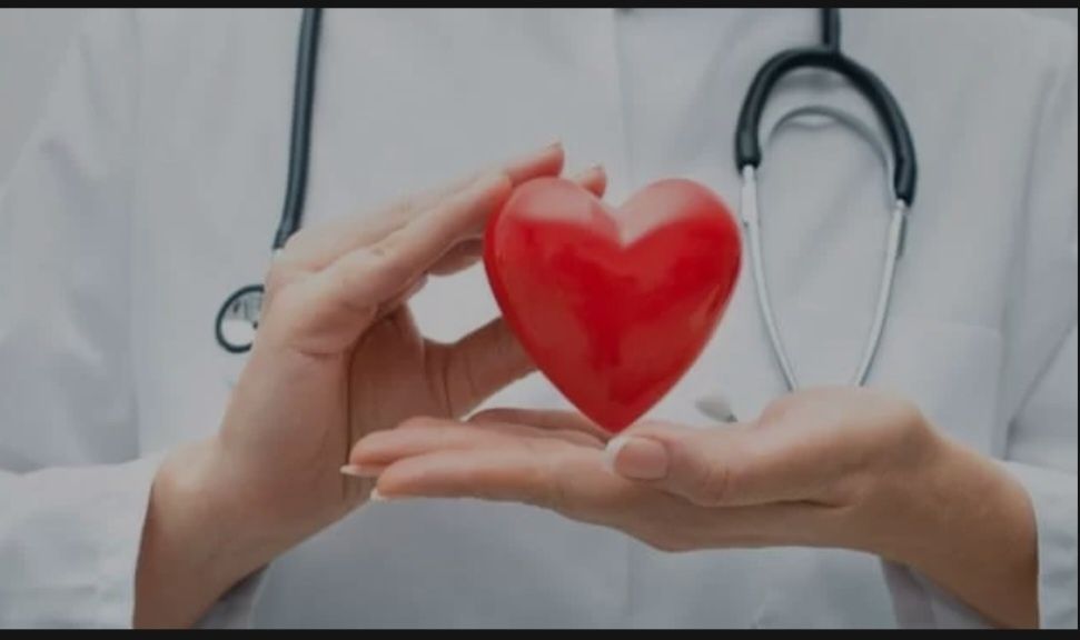 Консультация врача кардиолога