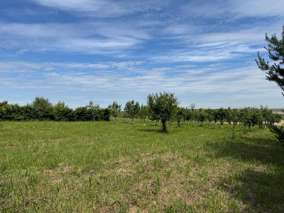 Teren intravilan 1.1 Hectare Viile Satu Mare CF utilitati