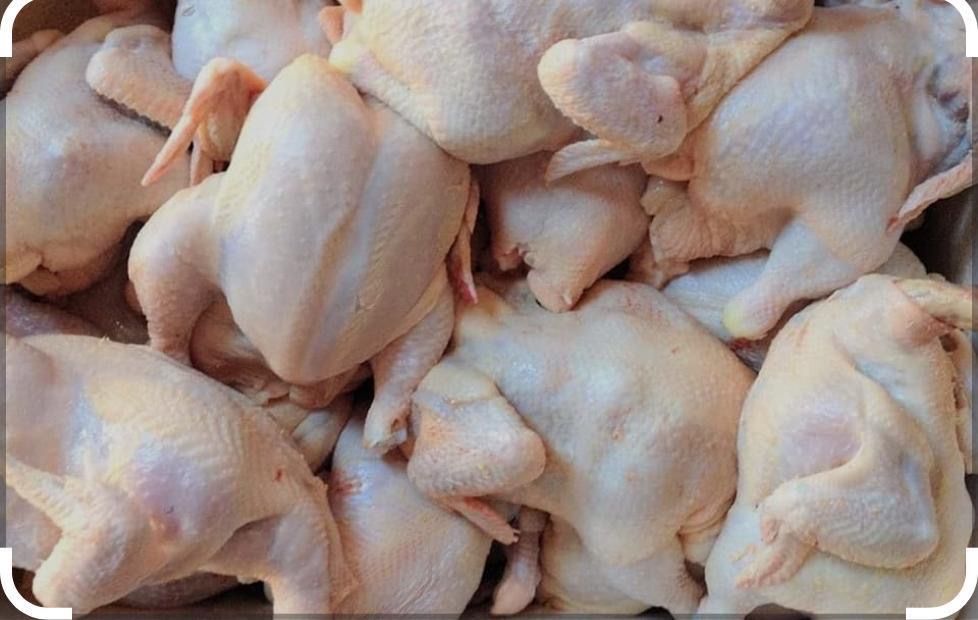 Мясо бройлера халяль