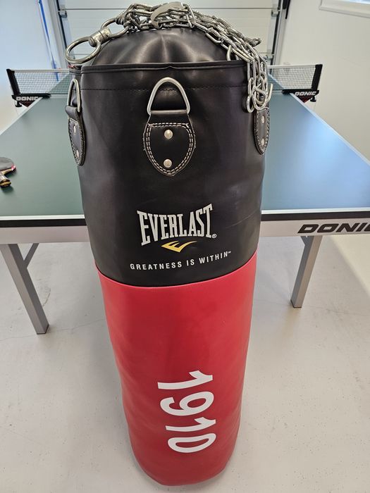 Vand sac de box profesional Everlast