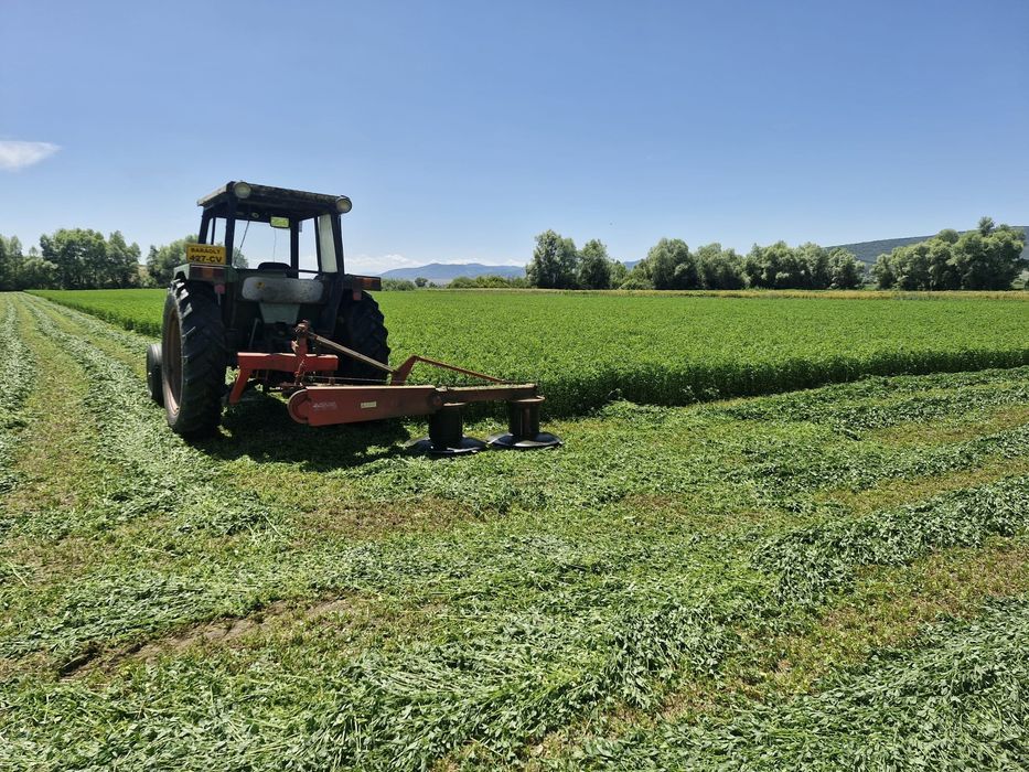 Vand baloti de Lucerna fan productie 2025 transport la domicilu