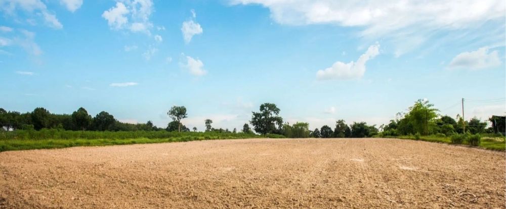 Продам ТОО с земельными участками