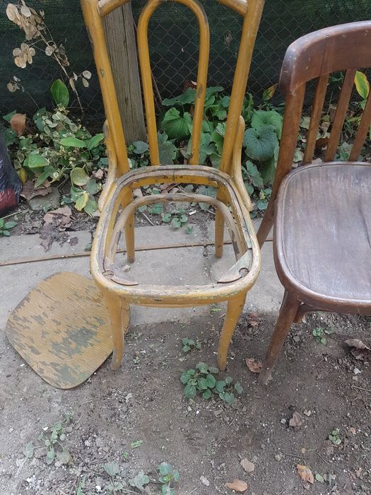 Donez două scaune vechi care necesită  reconditionare