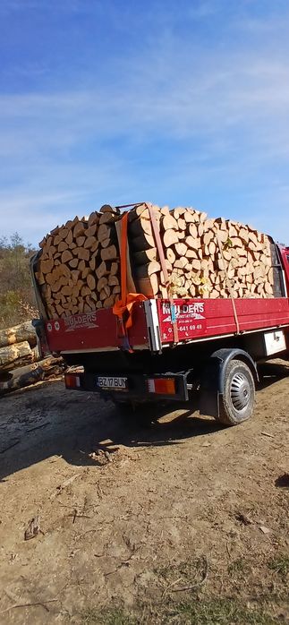 Lemne de foc esență tare Fag tăiate crăpate