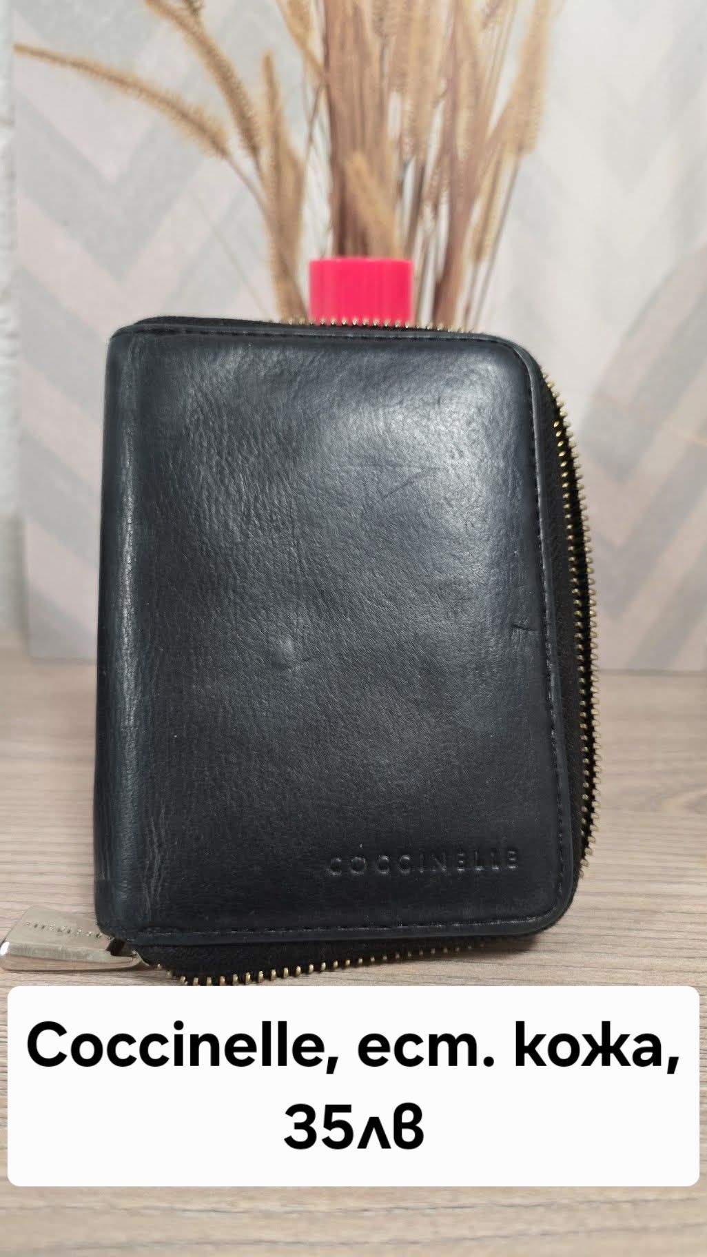 Coach, Massimo Dutti,  Coccinelle, DKNY, Mandarina Duck