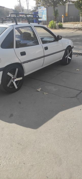 17 saka diska vossen