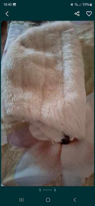 Haina blana vulpe argintie