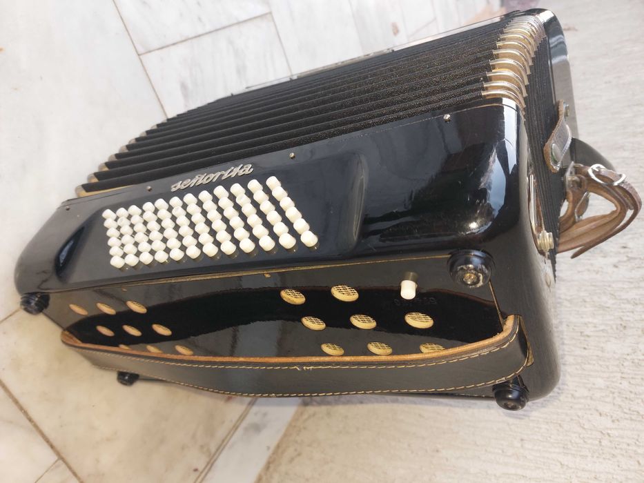 Vand acordeon Cantulia stare buna