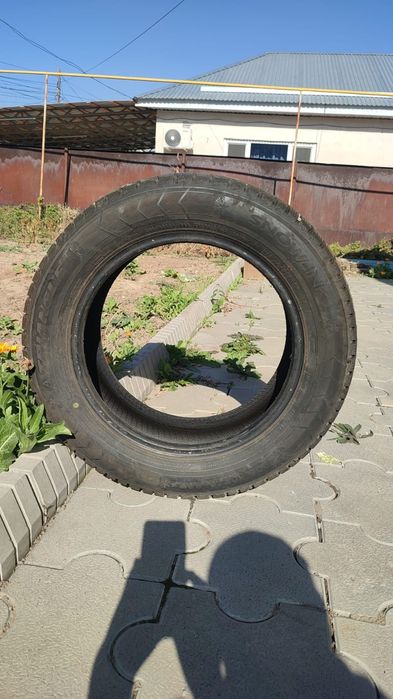 Зимние шины triangle