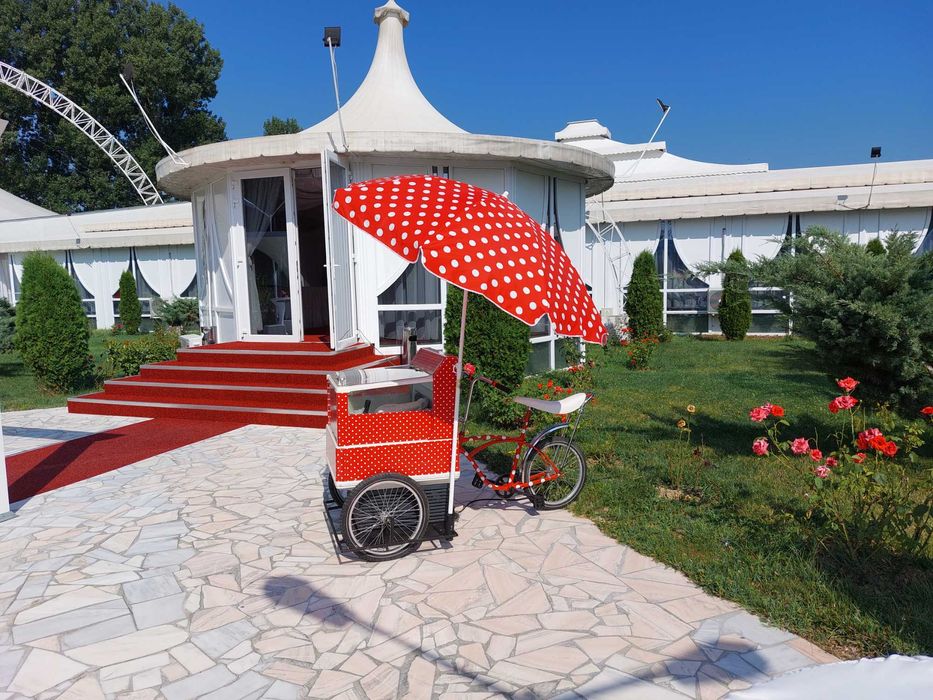 Inghetata pentru copii si nu numai