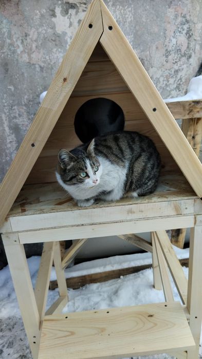 Домик для кошки утепленный