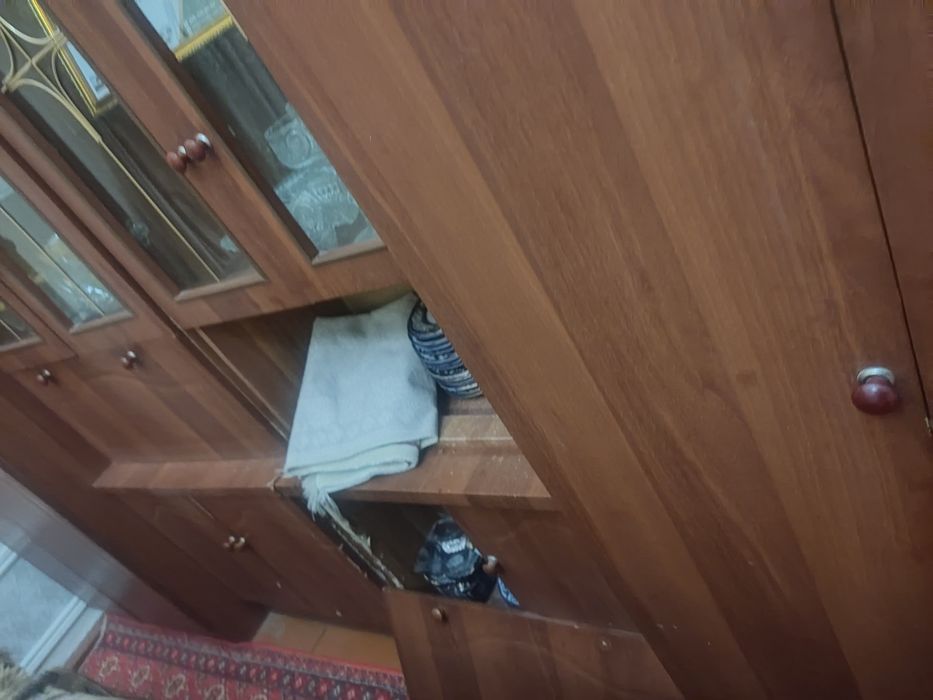 Стинка икки данаси колди сатилади орзан