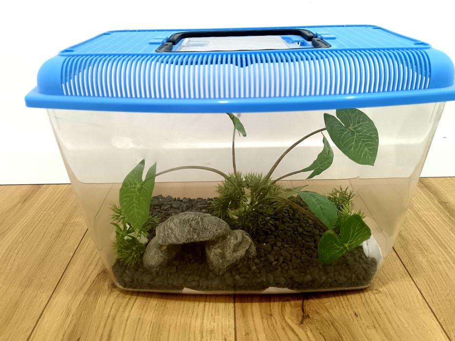 Acvariu cu accesorii incluse-capacitate 6L