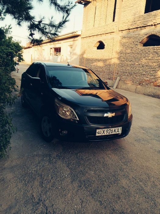 Kobalt soʻyladi 2014yil pul zarl